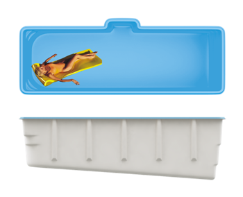 SwimTrack 56