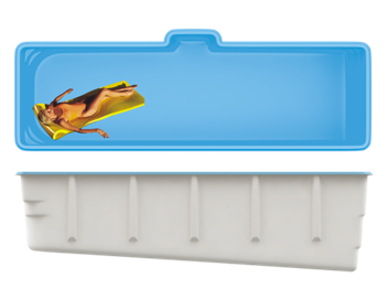 SwimTrack 61