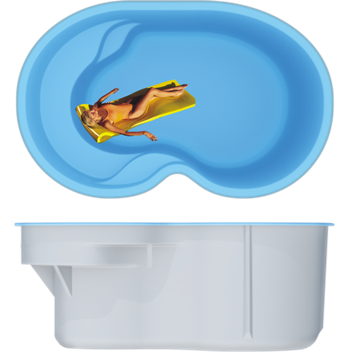 Вестфолл