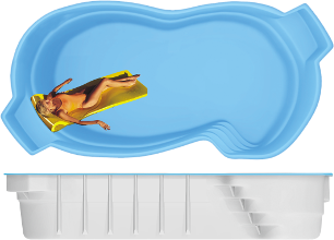 Мартиника