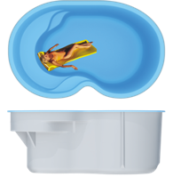 Вестфолл